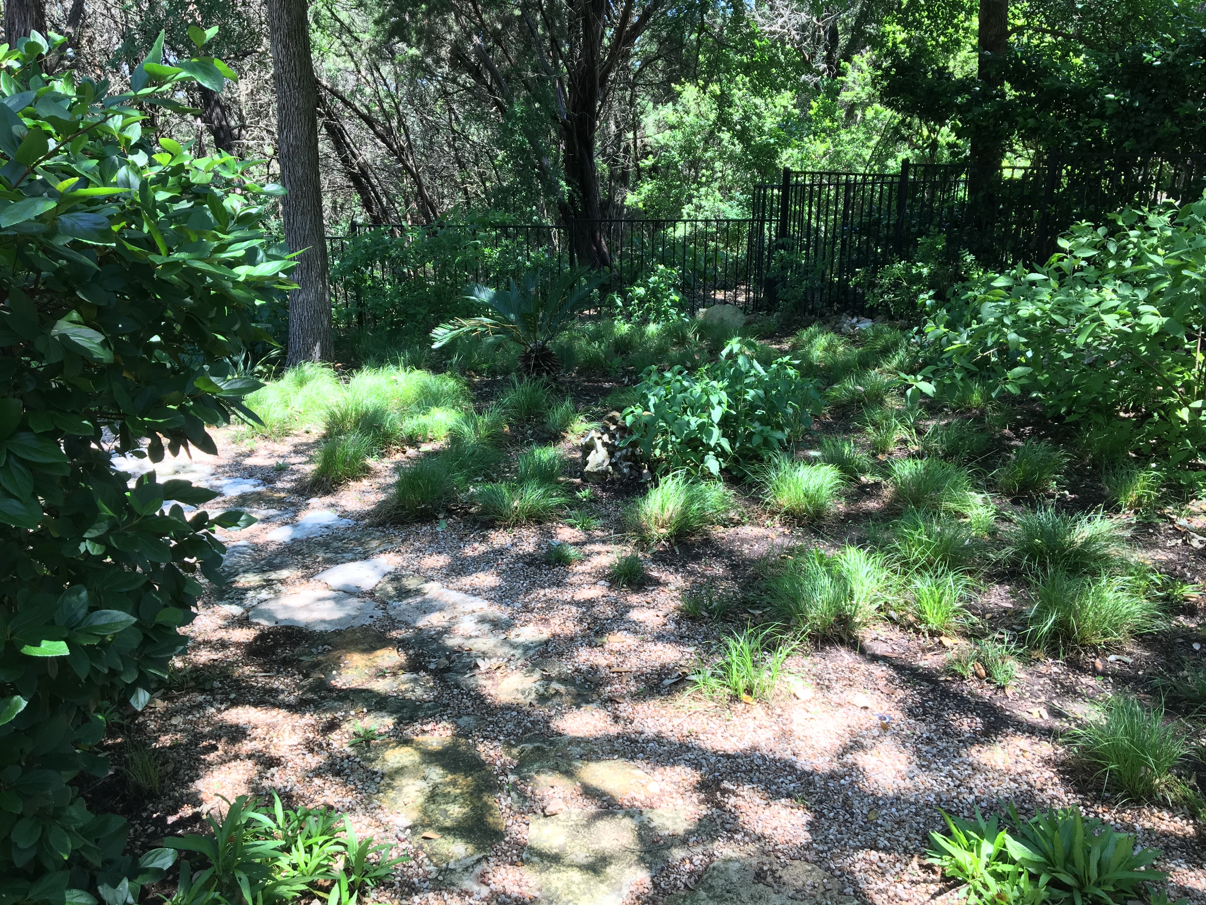 Garden pathway with native grasses and stepping stones