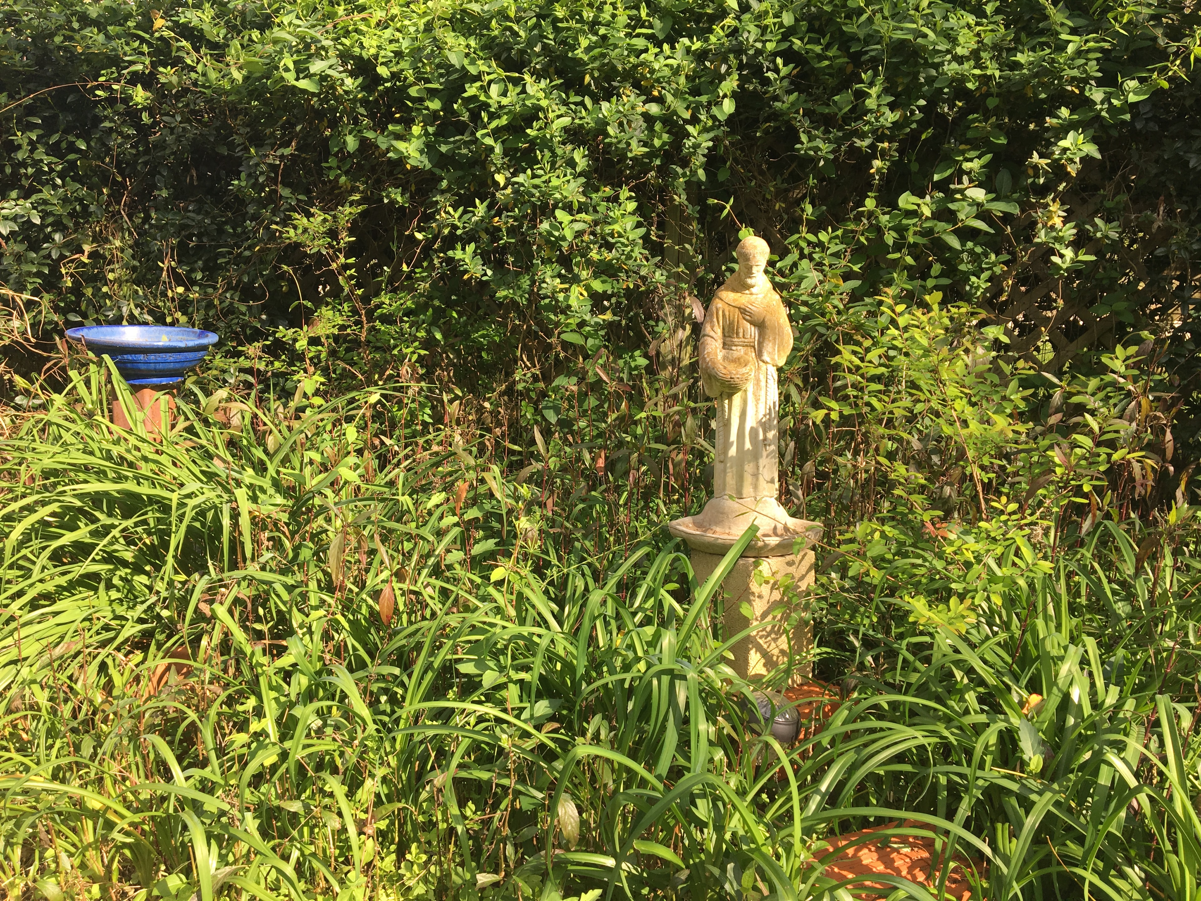 Garden statue and blue birdbath among lush greenery