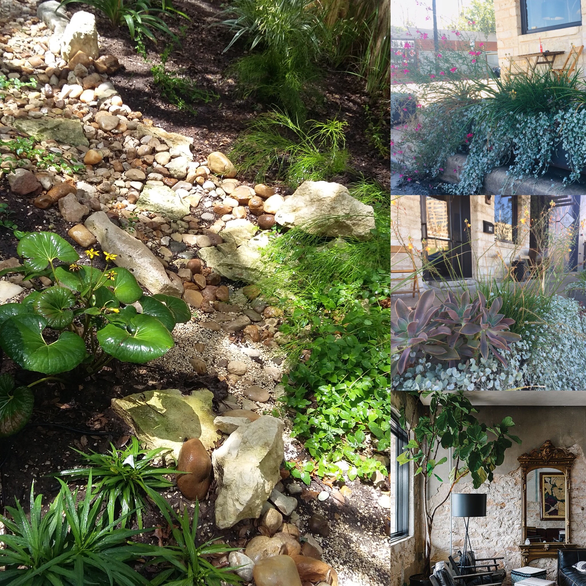 Stone and rock garden design