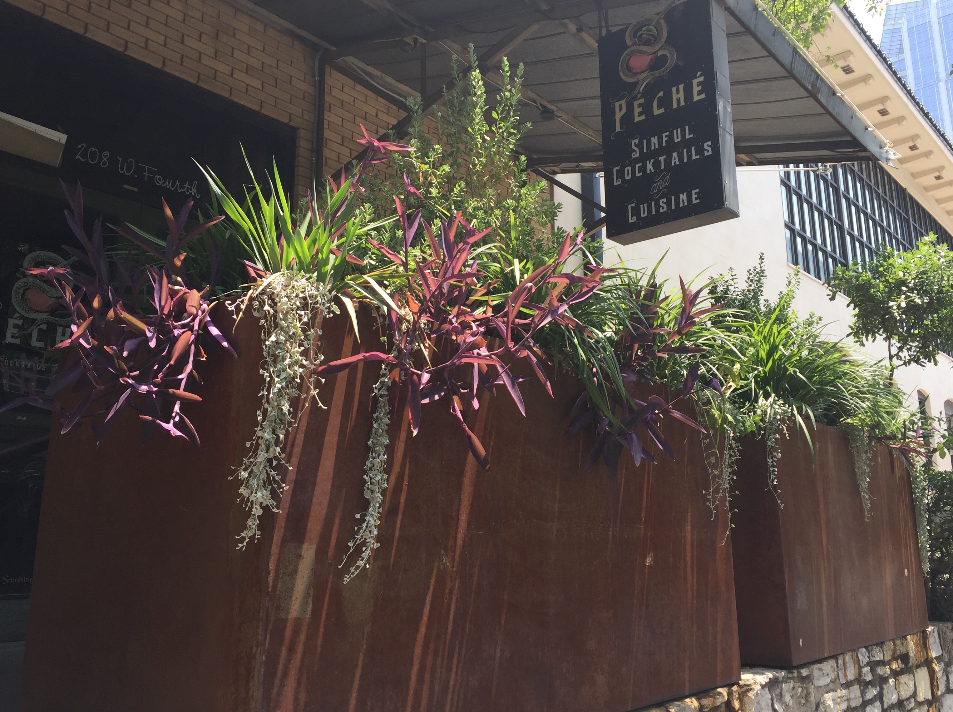 Corten steel commercial planters with dramatic purple and green foliage