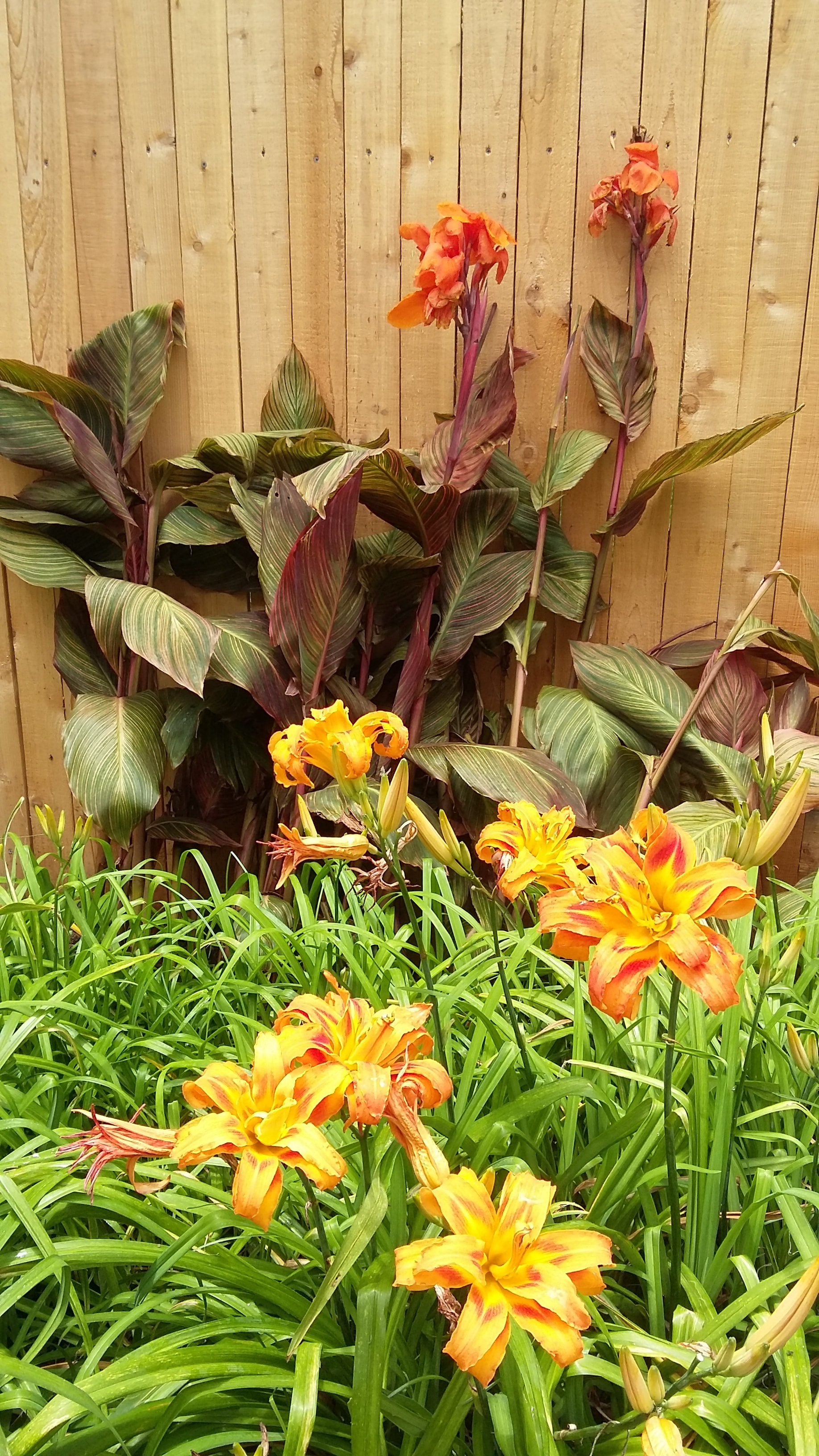 Daylily and canna lily arrangement on wooden deck