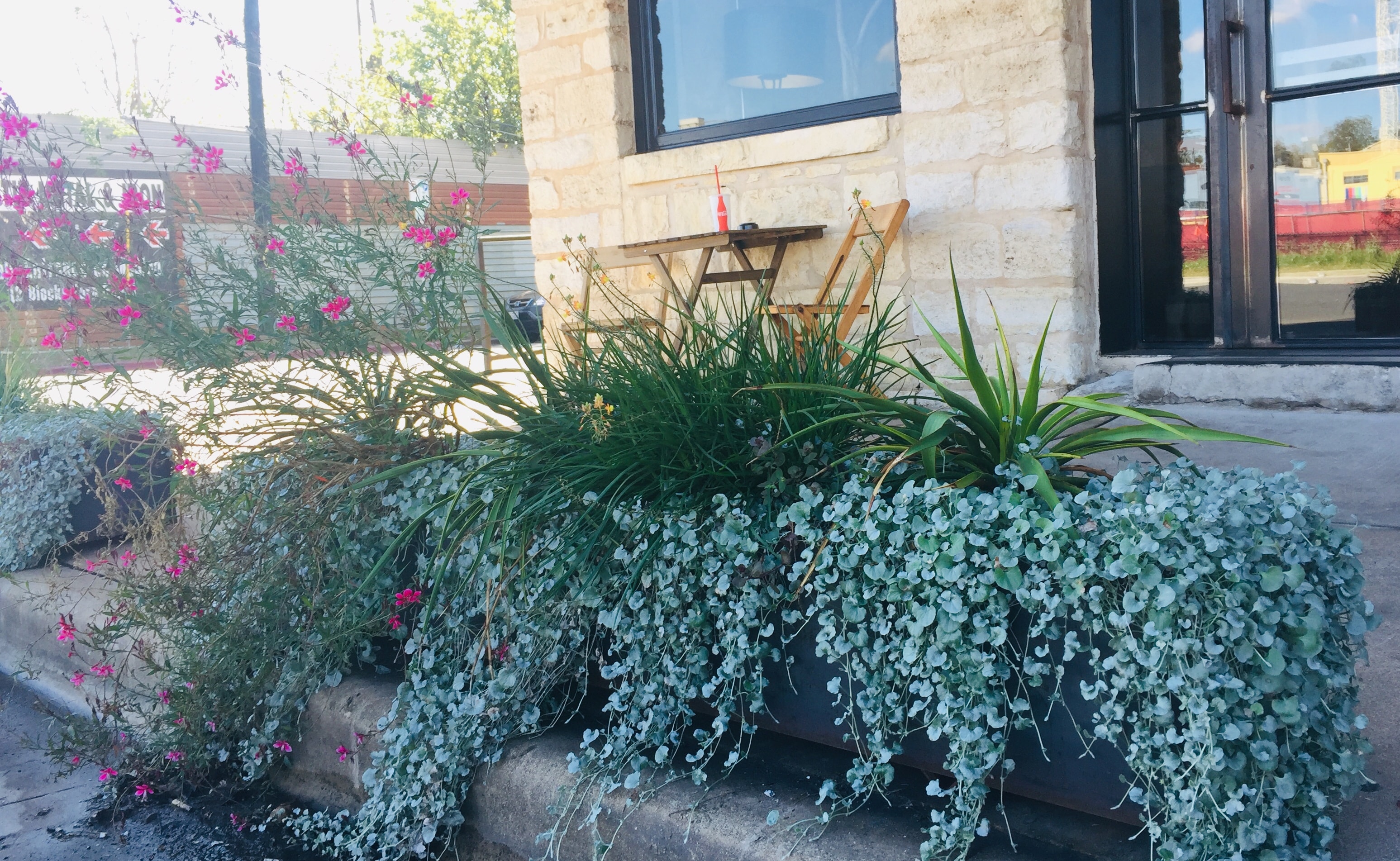 Planter with magenta flowers and trailing foliage