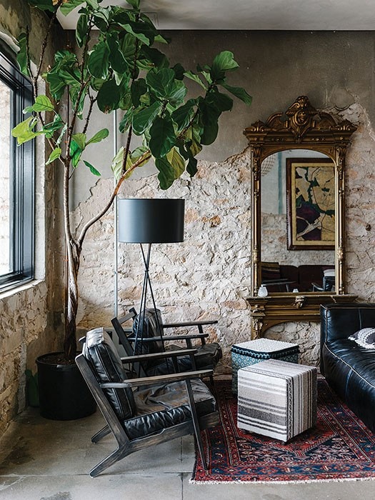 Interior plant arrangement with lush greenery and natural light