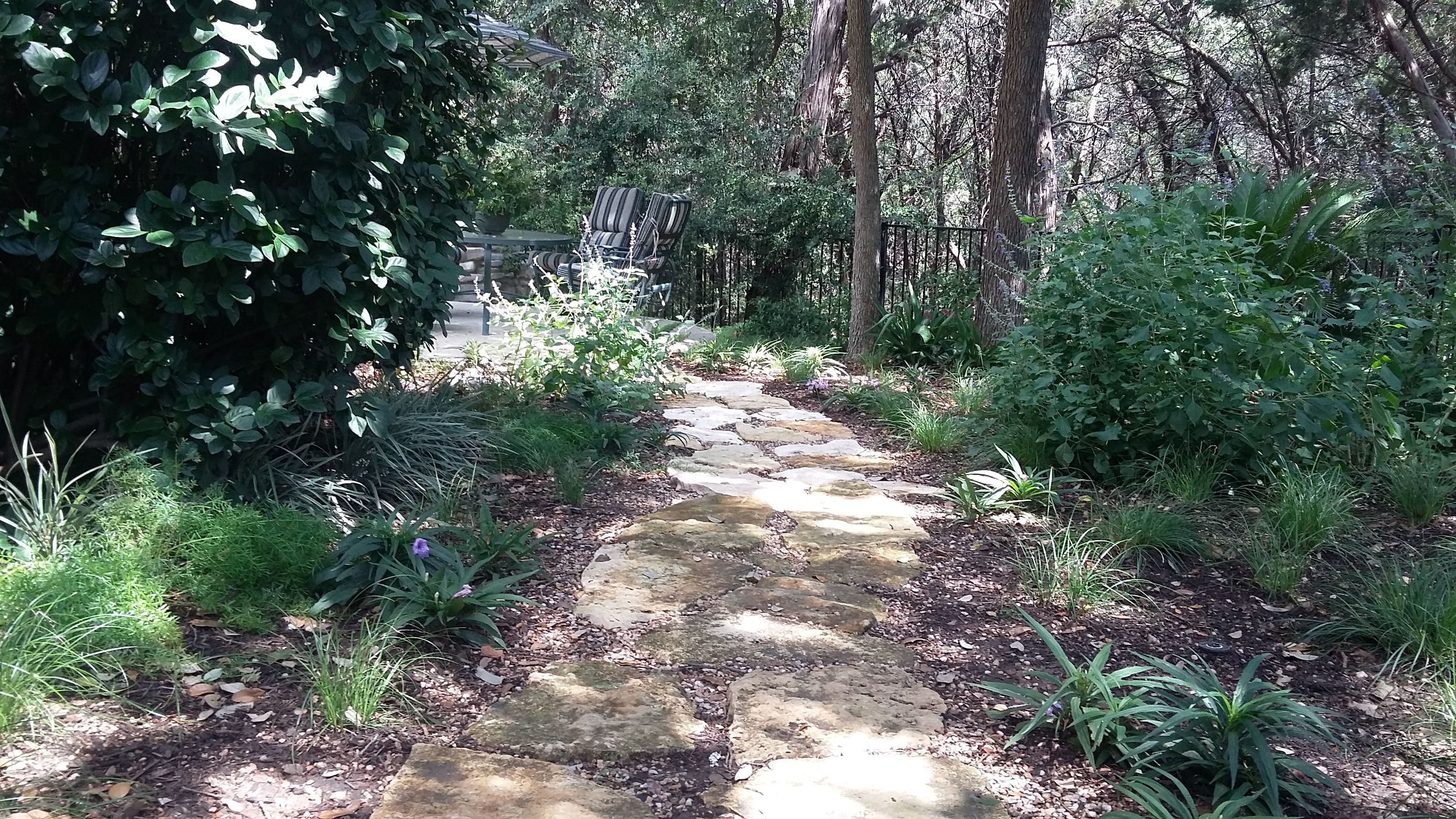 Flagstone pathway through garden