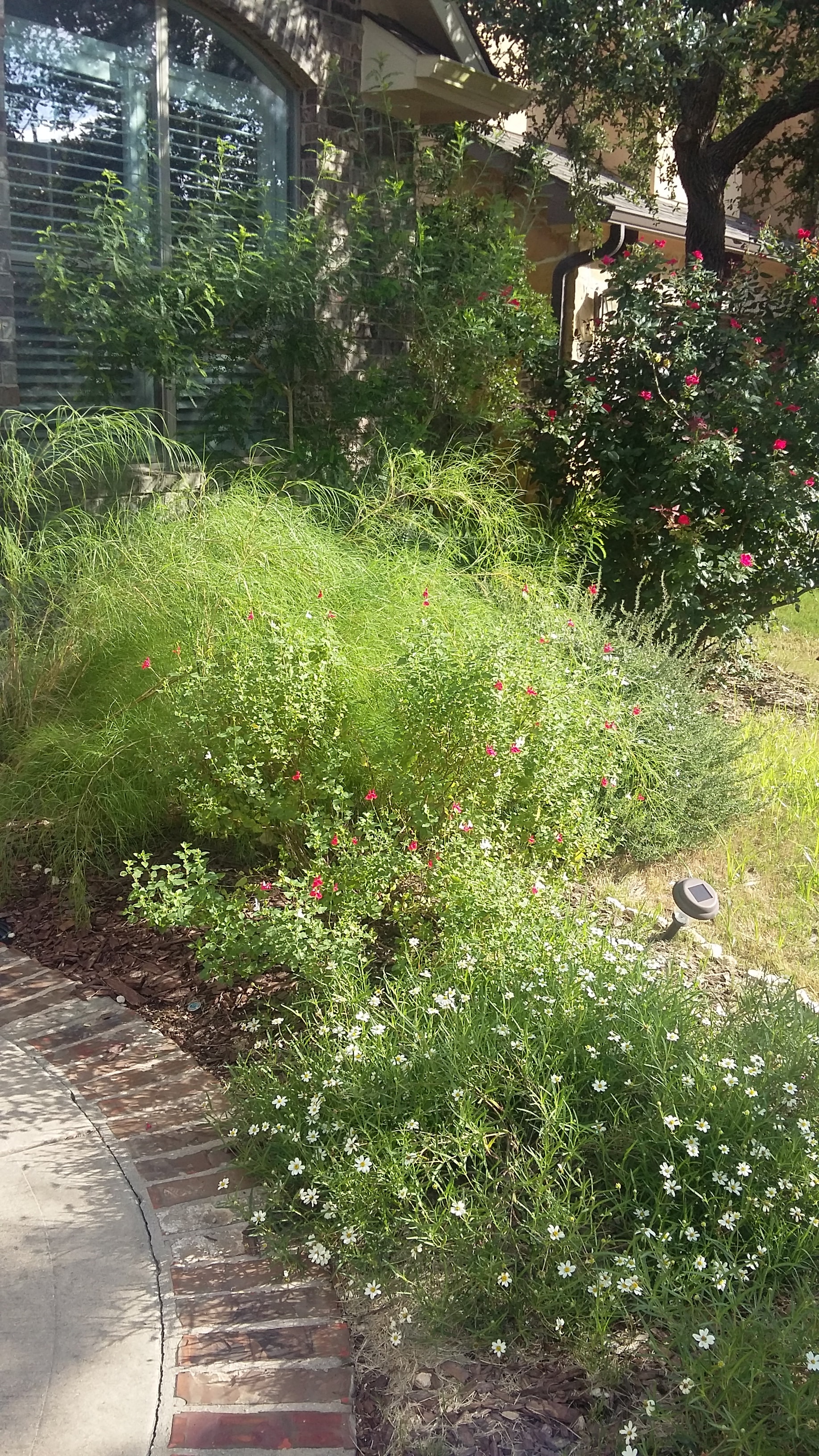 Lush garden with pink and white blooms