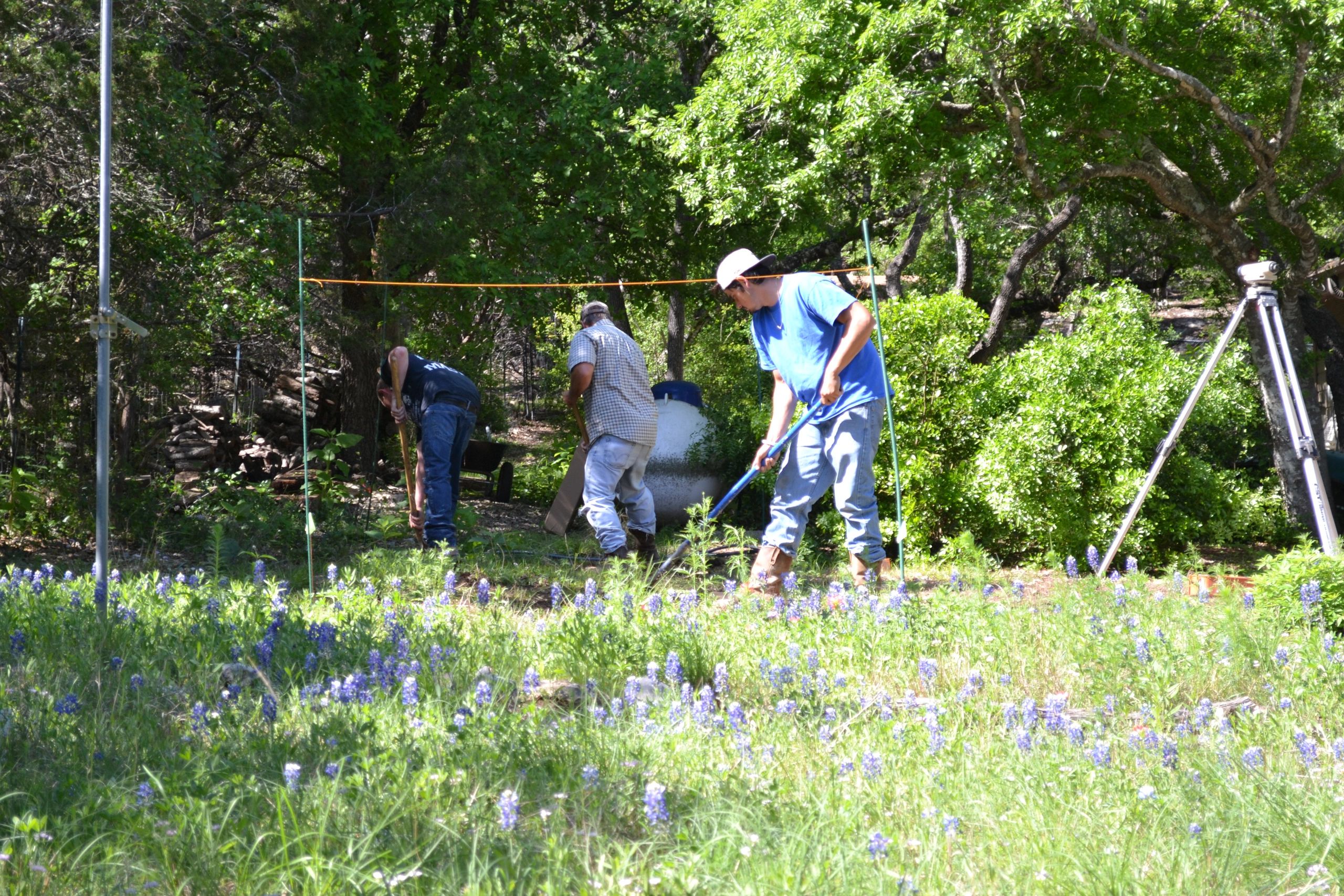Volunteers working outdoors with purple wildflowers