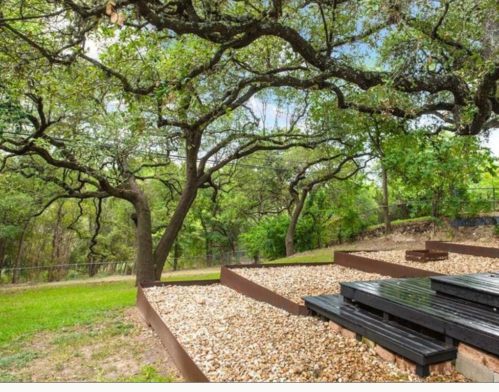 Backyard patio with mature oak tree and terraced garden