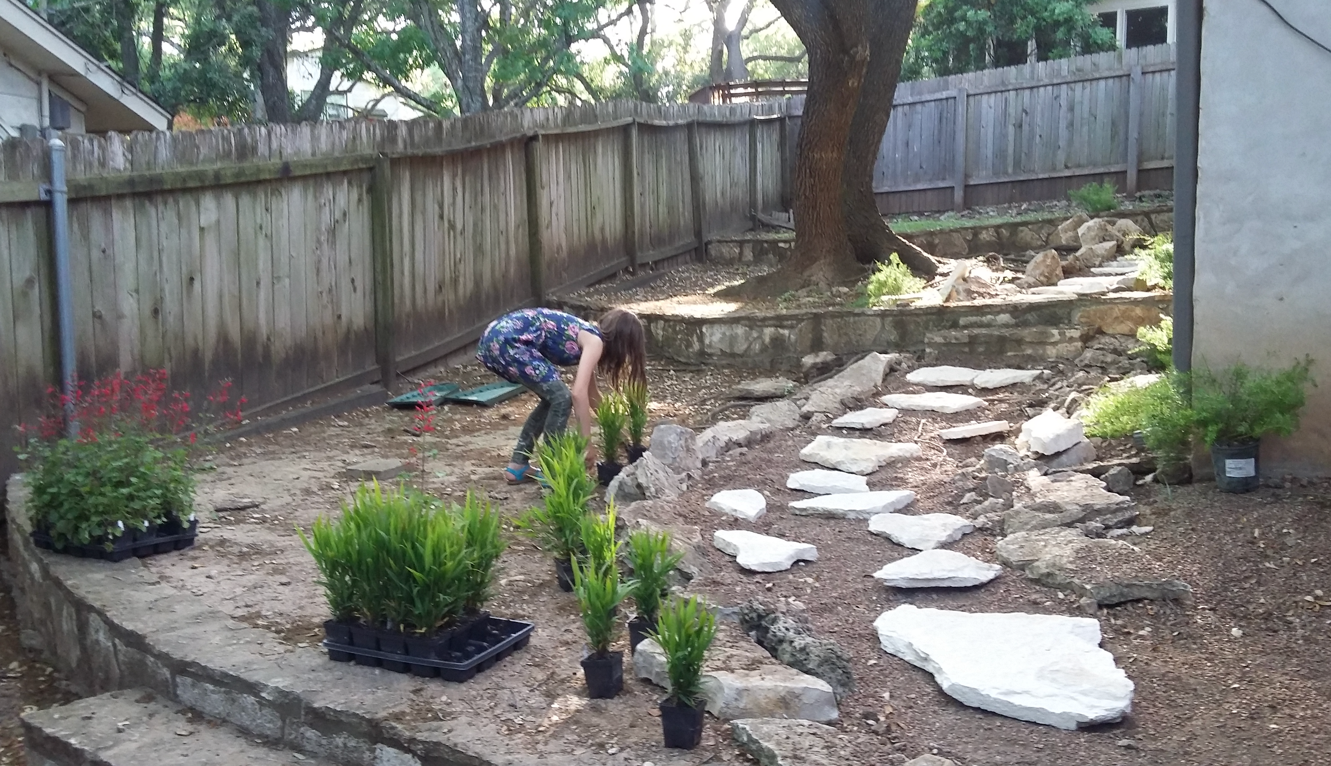 512 Phoenix crew installing plants along a stone pathway