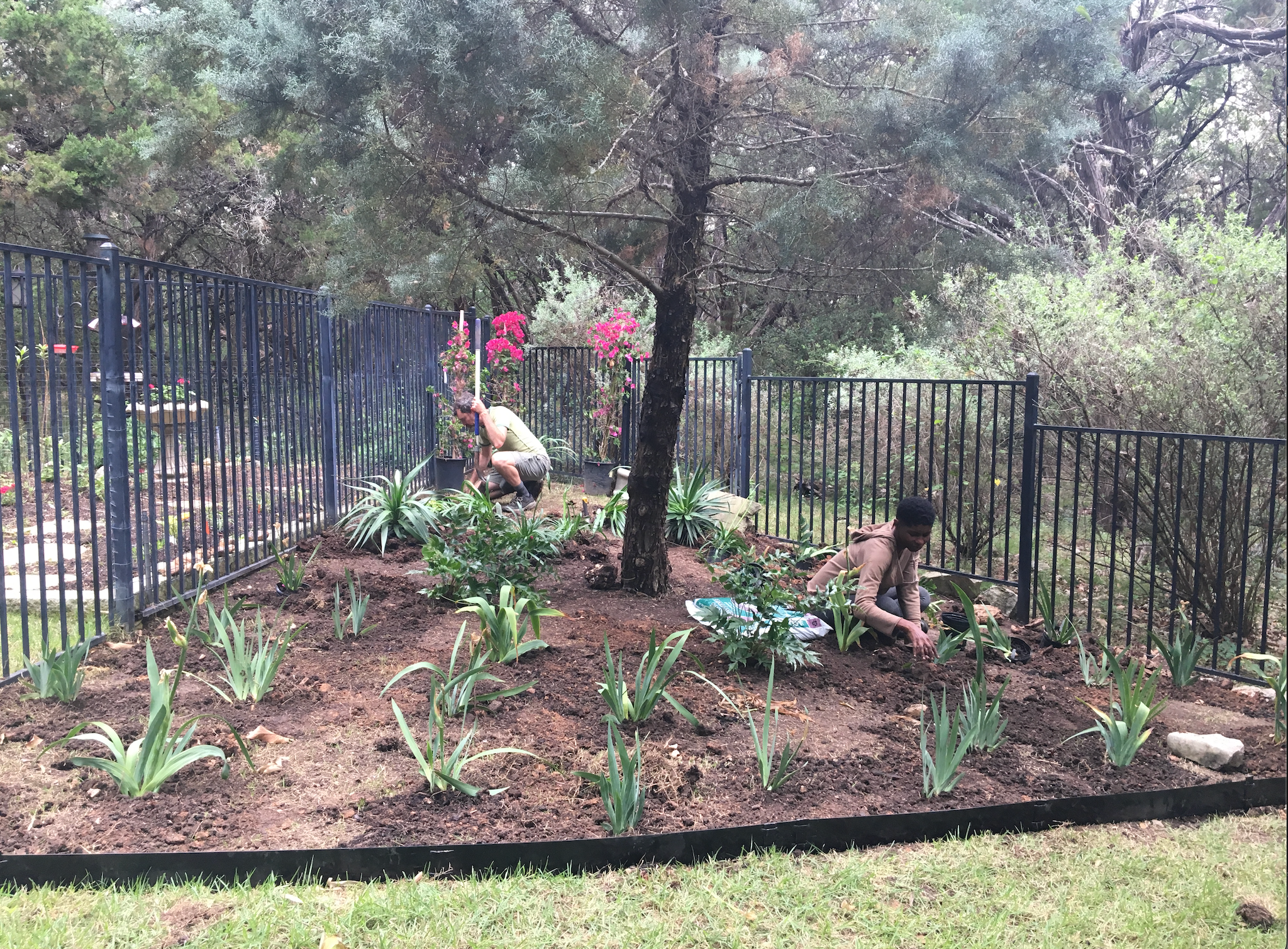 512 Phoenix crew planting a garden bed inside iron fence